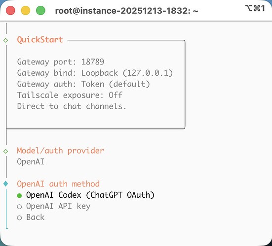 clawdbot-3-chatgpt-oauth