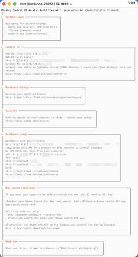 clawdbot-13-finish-setting-up