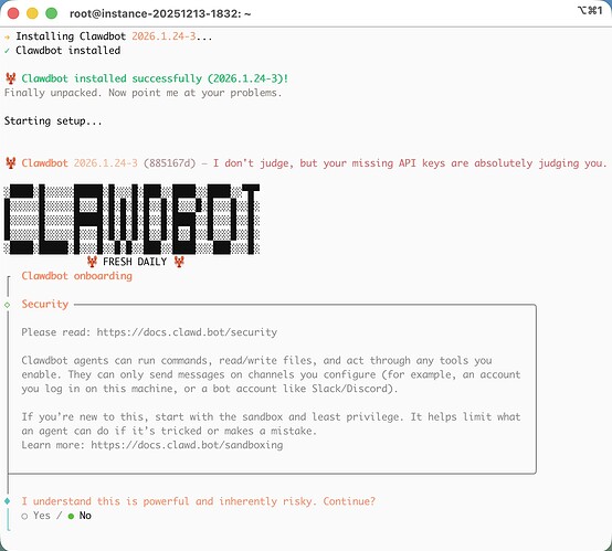 clawdbot-1-installed