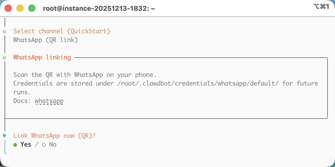 clawdbot-8-link-whatsapp